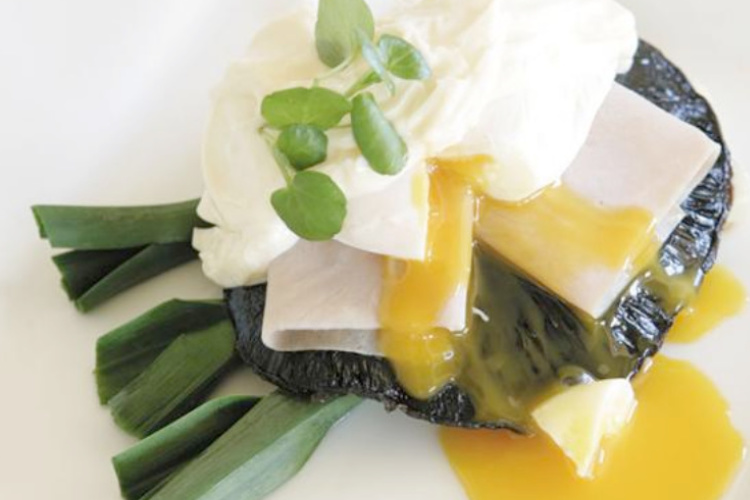 Portabello Eggs Benedict | I Love Eggs
